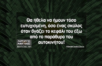 Αστεία memes, ατάκες, YOLO βίντεο, viral, αστεία video στο TikTok που ανέβηκαν στο διαδίκτυο και μας έκαναν να γελάσουμε.