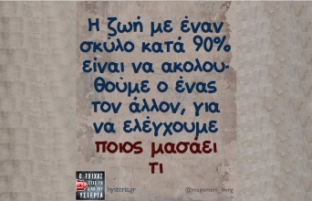 Αστεία memes, ατάκες, YOLO βίντεο, viral, αστεία video στο TikTok που ανέβηκαν στο διαδίκτυο και μας έκαναν να γελάσουμε.