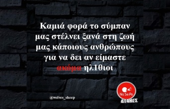 Αστεία memes, ατάκες, YOLO βίντεο, viral, αστεία video στο TikTok που ανέβηκαν στο διαδίκτυο και μας έκαναν να γελάσουμε.
