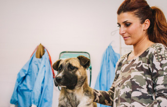 Ειρήνη Ψαρρού