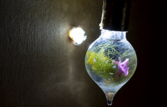 OnassisAiR στη Στέγη: όταν η τέχνη συναντά την τεχνολογία