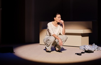 Η Μαρία Ναυπλιώτου πρωταγωνιστεί στο «Ακρωτήρι» στο Θέατρο Ιλίσια