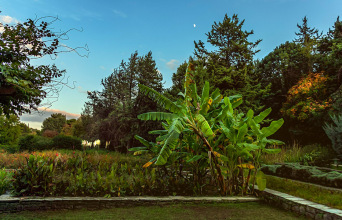 Βοτανικός Κήπος Διομήδους: Εκεί όπου η φύση συναντά τη μνήμη