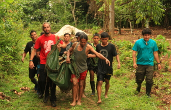 Μεταφορά ψαριού  στην περιοχή  Λορέτο στο δάσος  του Αμαζονίου