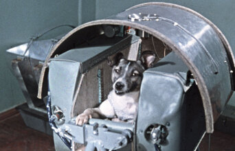 Η Λάικα, ο πρώτος σκύλος στο διάστημα, στην κάψουλα Σπούτνικ 2