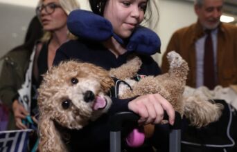 Επαναπατρίστηκαν οι Έλληνες με τα κατοικίδια τους από το Άμπου Ντάμπι