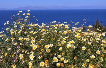 «Θα κοιμηθούμε με άνοιξη, θα ξυπνήσουμε με χειμώνα» - Η στροφή 180 μοιρών του καιρού την Πρωτομαγιά