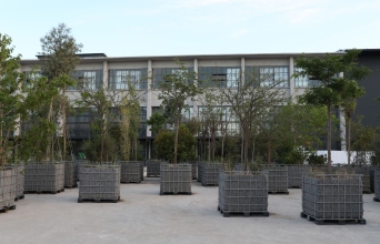 Attracted to trees: Μια βραδιά νέων περφόρμανς στην Πειραιώς 260