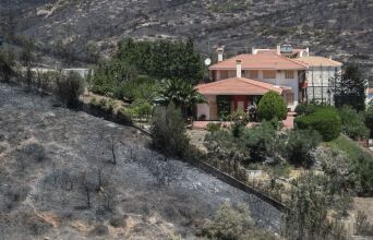 Πεντέλη: Δύο χρόνια μετά τη φωτιά, η φύση επιστρέφει – αλλά όχι όπως πριν