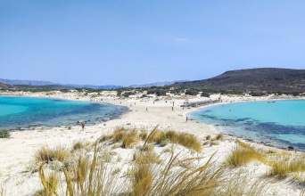 Ελαφόνησος