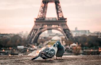 Κουίζ: Σου δίνουμε το αξιοθεάτο. Μπορείς να βρεις την πόλη;