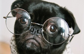 Κουίζ: Μπορείς να βρεις τη σημασία αυτών των παλιών λέξεων;