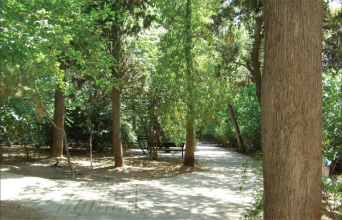 Συμβαίνει στο Παγκράτι