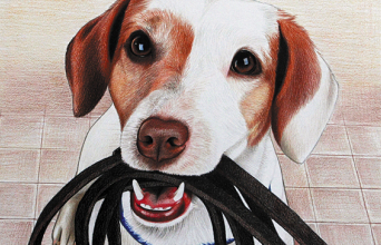 Έργο της Αγγελικής Σταυριάνου