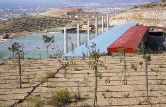 Η Β Φάση στη Φυλή που αποκαταστάθηκε από την ΗΛΕΚΤΩΡ