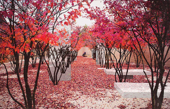 Η πρόταση της Ανδρονίκης Γιαννάτου είναι η πρώτη που θα υλοποιηθεί