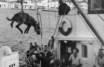 Κεντρική φωτό: Ανδρέας Εμπειρίκος, "Άνδρος-Υδρούσα, Χαίρε!", 2008