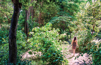Φωτό: Ορέστης Σεφέρογλου