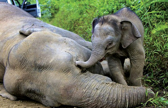 Αναδημοσίευση από το τελευταίο τεύχος του περιοδικού του Γιώργου Χρονά «Οδός Πανός».