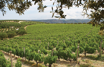 Ελληνικές επιχειρήσεις ποντάρουν στην καινοτομία και την εξωστρέφεια