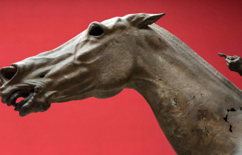 Εθνικό Αρχαιολογικό Μουσείο, Φωτό: Θανάσης Καρατζάς