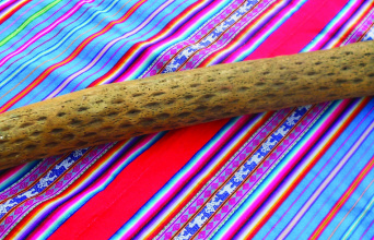 H βροχή του δάσους