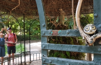 Οι κρυμμένες κουκουβάγιες της Αθήνας