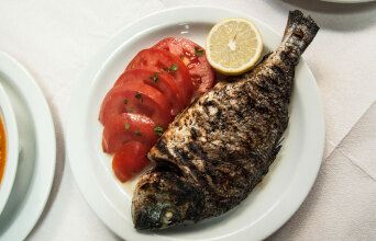 Αρχόντισσα