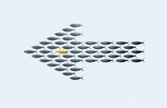 Σταμάτης Κραουνάκης