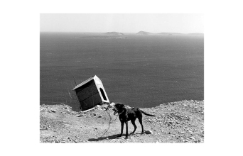 Νέες αφίξεις