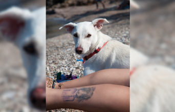 Ματούλα Ζαμάνη