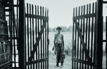 Κριτική της ταινίας «Το βαμμένο πουλί»