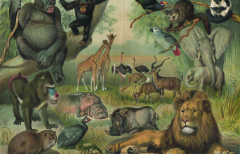 Το «The sea between my soul» είναι ένα ροκ μιούζικαλ/ εγκατάσταση μαύρου χιούμορ και παραλογισμού