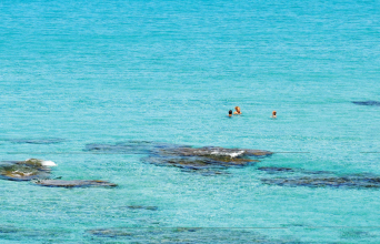Φαλάσαρνα, Κρήτη