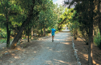 Εθνικός Κήπος