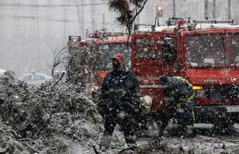 Πτώση δέντρων στην Αθήνα από την κακοκαιρία «Μήδεια»