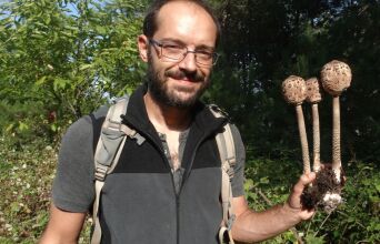 Ο Γιώργος Μάντικας είναι πιστοποιημένος συλλέκτης άγριων αυτοφυών μανιταριών