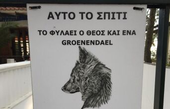 Φτιάξε μου τη μέρα 773