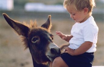 Ο Αρίων Σπυρίδης (Minas designs) 