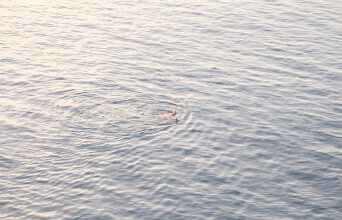 Άνδρας που κάνει μπάνιο στη θάλασσα