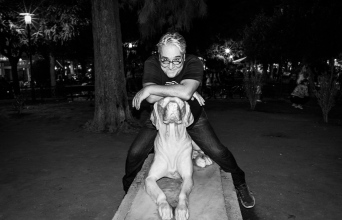 Προδημοσίευση  Στέφανος Τσιτσόπουλος Τα χλωμά σιντριβάνια της Φωκίωνος Νέγρη