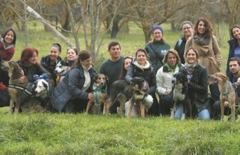 Από δραστηριότητα της Stray.gr το 2019.