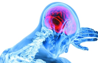 Ο ανθρώπινος εγκέφαλος