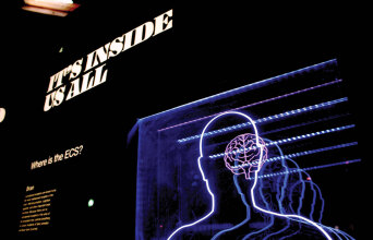 Aλτσχάιμερ: Η διατροφή ως προστατευτικός παράγοντας της νόσου  