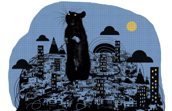 Εικονογράφηση για τα ποντίκια στην Αθήνα