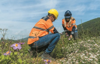 Σε τροχιά υλοποίησης το αναβαθμισμένο επενδυτικό σχέδιο της Ελληνικός Χρυσός
