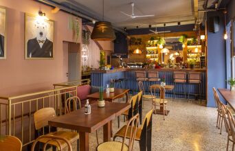 Το Ursa Minor στην Πανόρμου