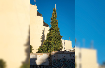 Καμινάδα σουβλακερί - χριστουγενιάτικο δέντρο