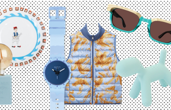 Πιάτο, ρολόι, αμάνικο μπουφάν, γυαλιά ηλίου, διακοσμητικός σκύλος σε γαλάζια χρώματα