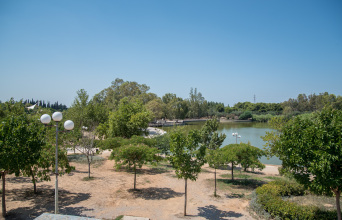 © Θανάσης Καρατζάς